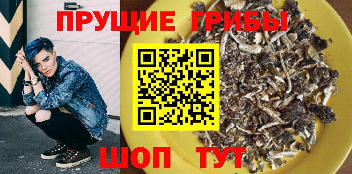 Галлюциногенные грибы прущие грибы Елабуга