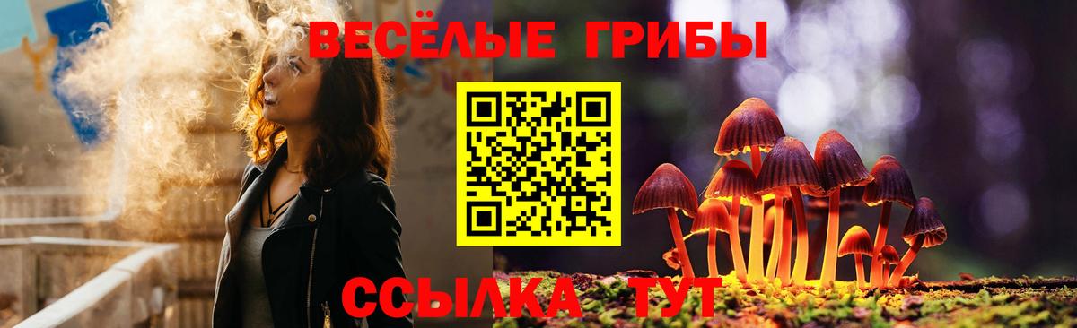 Псилоцибиновые грибы прущие грибы  Галлюциногенные грибы Cubensis  Елабуга  Вход с VPN 